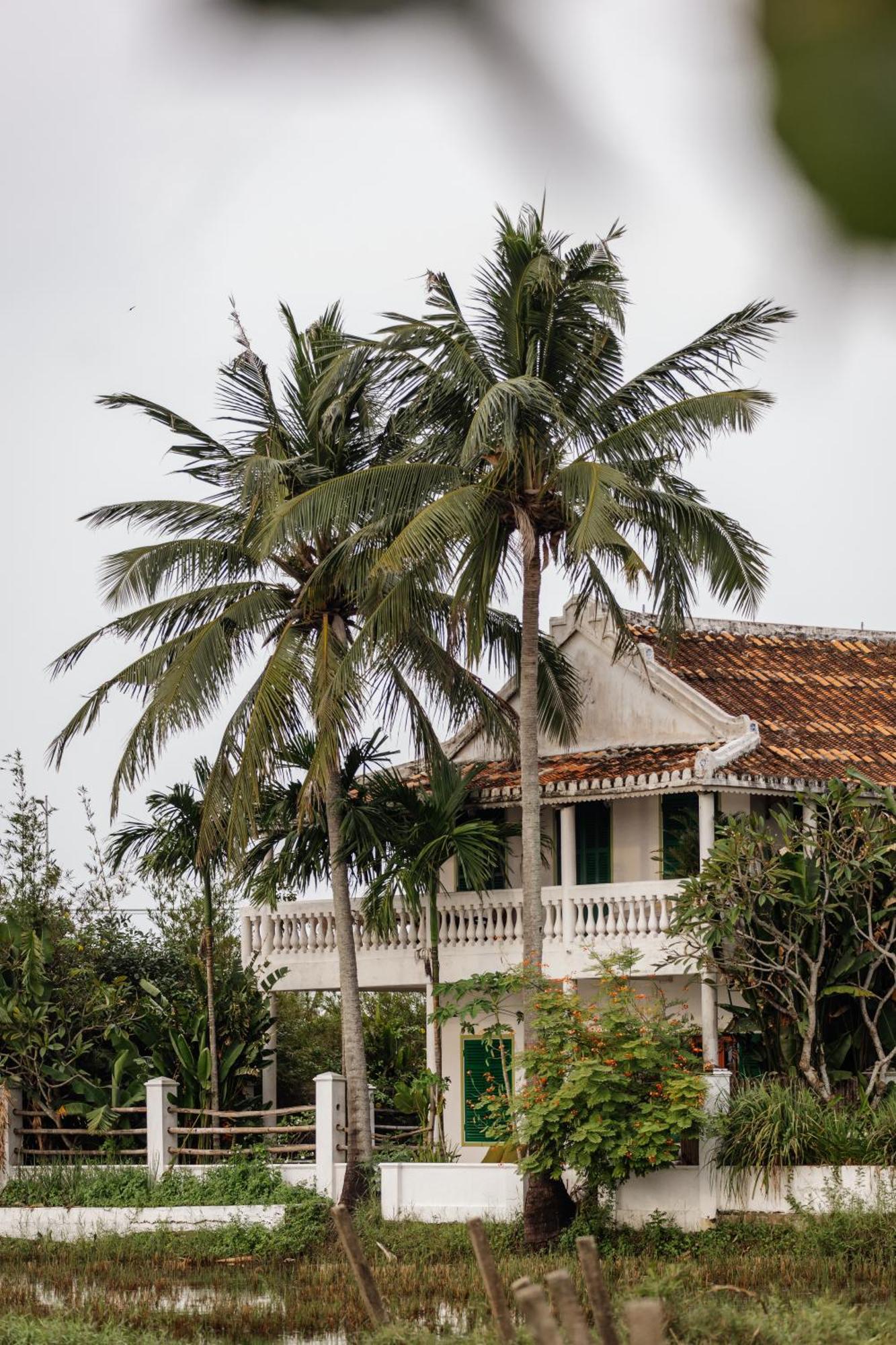 Heron House Hoi An Exteriör bild
