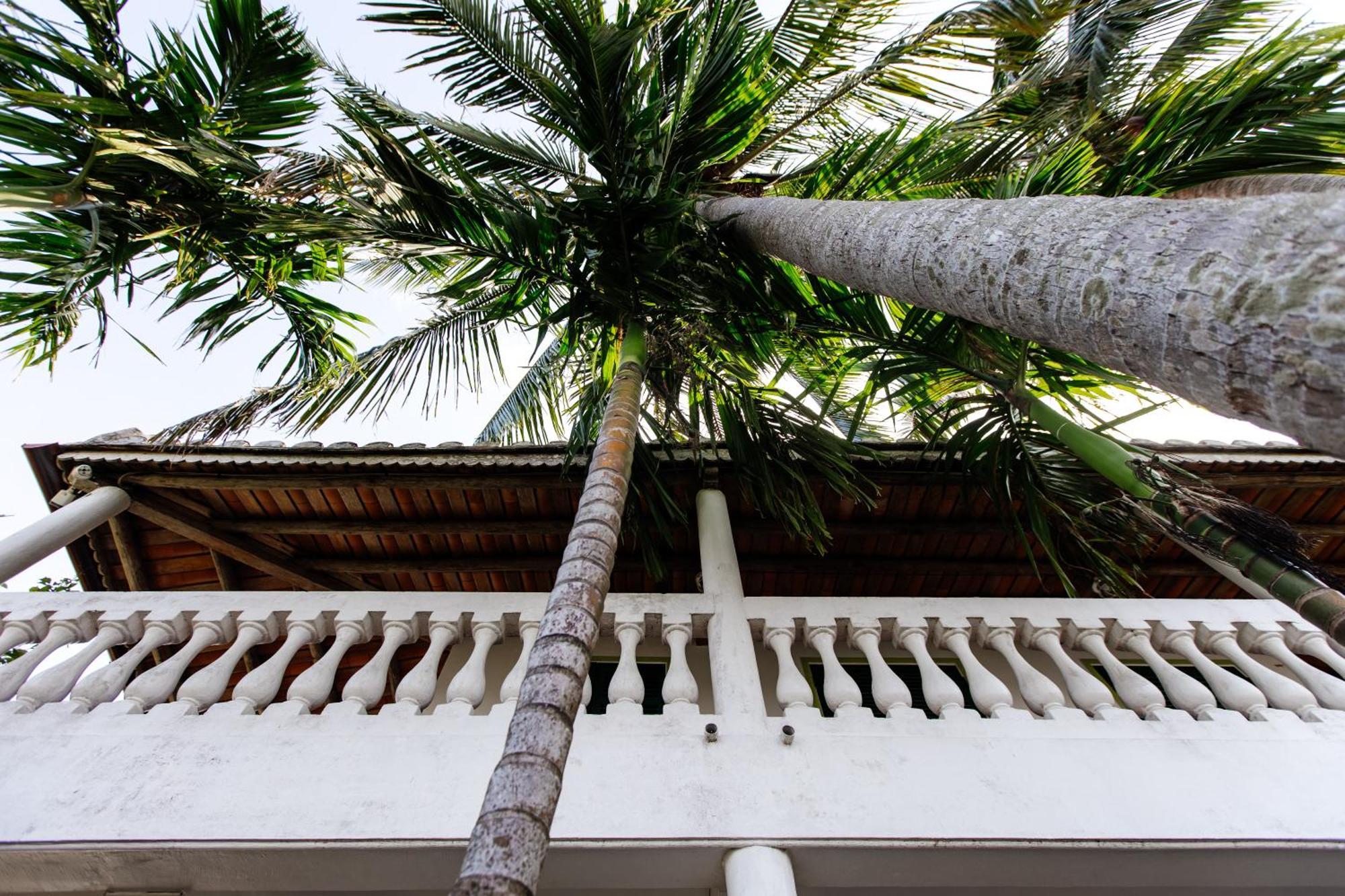 Heron House Hoi An Exteriör bild